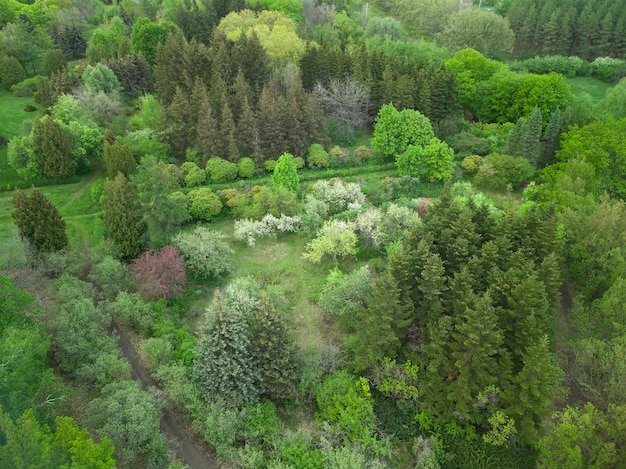 Воздушный беспилотный вид на сад с дорожками, разными деревьями и зеленой травой.