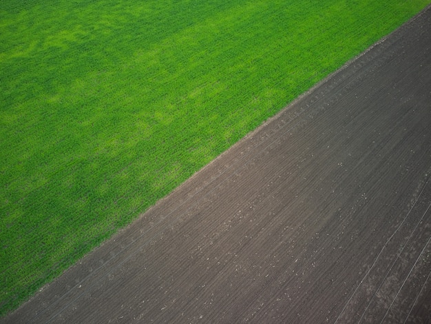 Aerial drone view of a green field of wheat shoots and plowed soil.