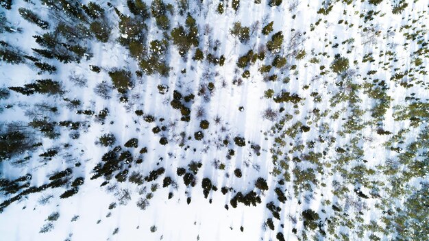 Aerial drone view of idyllic winter landscape Green snow covered forest from the top sun rise in finland nature from a birds eye view