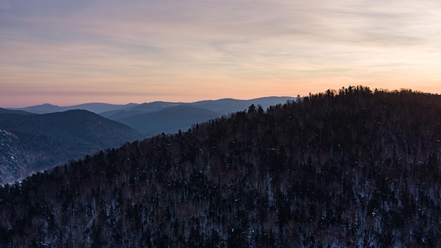 写真 山の森の空中ドローンビュー 冬の風景 雪に覆われたモミと松の木 冬の森の景色にある雪に覆われた木の枝 霜の雪で覆われた冬の風景の森の木