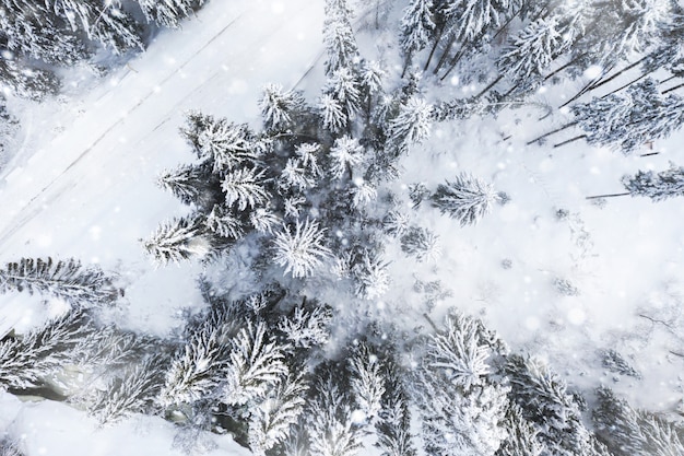 雪に覆われた森の道の空中ドローンビュー。