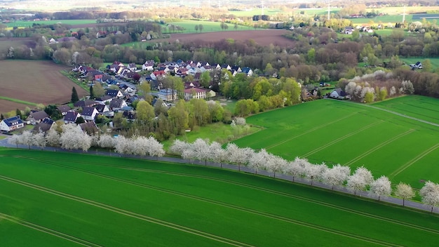 봄 풍경의 드론 풍경 마을과 초록색  근처의 꽃이 피는 체리 골목 사이의 도로 독일 시골