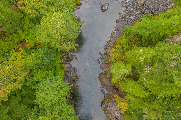 숲을 통해 흐르는 야생 강의 공중 무인 항공기 보기
