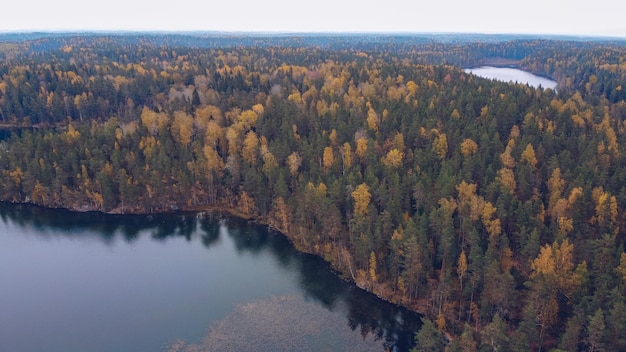Vista aerea del drone sul lago yastrebinoe bellissimo paesaggio stagionale con un lago o acqua di fiume e larici russia carelia
