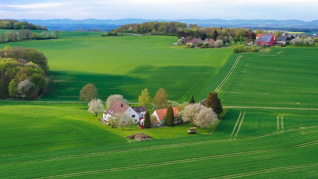 Foto vista aerea di campi di colza gialla nella campagna tedesca