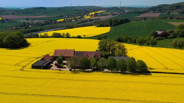 Foto vista aerea di campi di colza gialla nella campagna tedesca