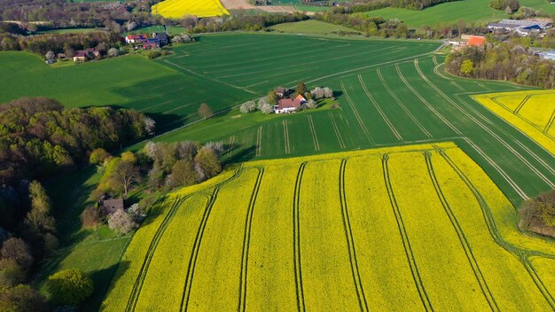 Photo aerial drone view of yellow rapeseed fields in german countryside