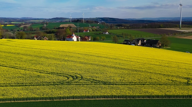 Foto vista aerea di campi di colza gialla nella campagna tedesca