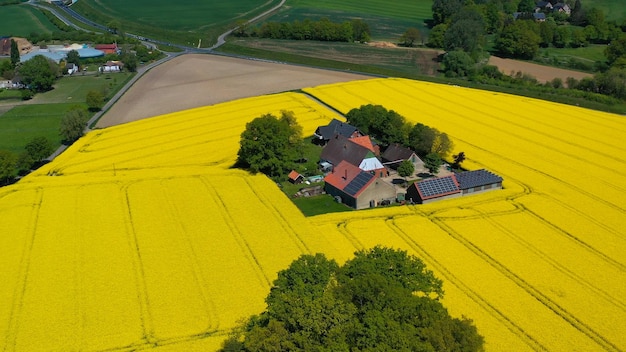 Аэропортное изображение полей желтого рапса в сельской местности Германии