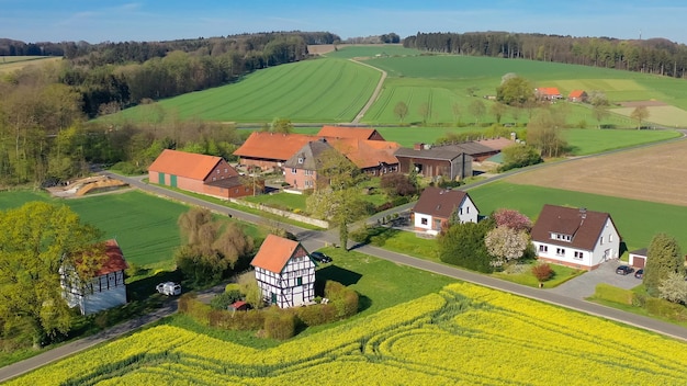 Photo aerial drone view of yellow rapeseed fields in german countryside