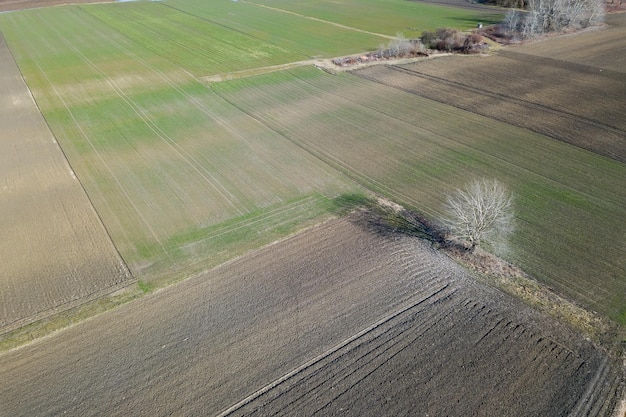 Aerial fields in early spring. Aerial shot of fields with various types of agriculture early spring