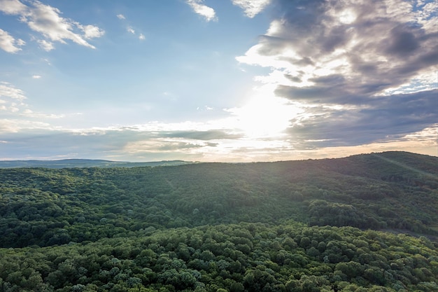 Aerial Forest in Sunny summer Day from Top. Sun and sun flare.