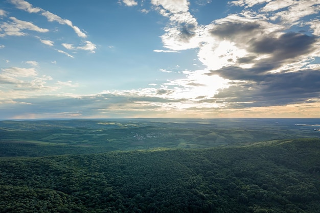 Aerial Forest in Sunny summer Day from Top. Sun and sun flare.