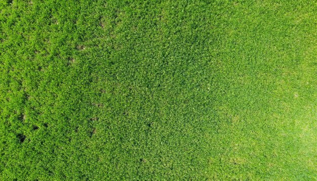 Photo aerial green grass texture background top view
