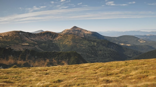 Foto cime di montagne verdi aeree foreste di abeti sulle cime delle colline nessuno paesaggio naturale rocce verdi