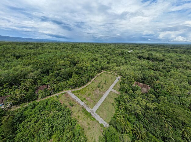 Фото aerial harmony jogja's serene rice fields деревья и сады