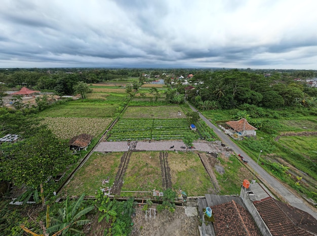 Foto aerial harmony jogja's serene rijstvelden bomen en tuinen