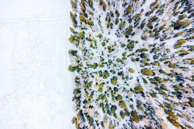Immagine aerea dalla cima dei pini di montagna innevati nel mezzo dell'inverno. vista dall'alto, vista aerea, spazio vuoto per design e testo