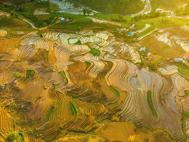 Foto immagine aerea delle terrazze di riso nella provincia di ngai thau y ty lao cai vietnam panorama del vietnam risaie terrazzate di ngai thau risaie spettacolari ripresa panoramica cucita