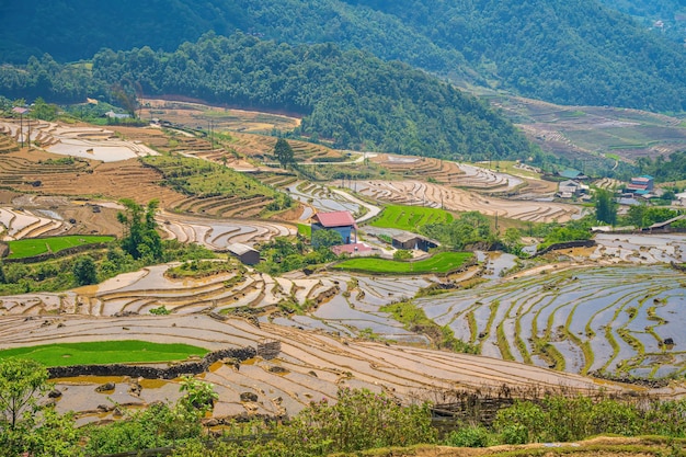 Ngai Thau Y Ty Lao Cai 지방 베트남의 계단식 논 항공 이미지 베트남의 풍경 파노라마 Ngai Thau의 계단식 논 장엄한 논 스티치 파노라마 샷