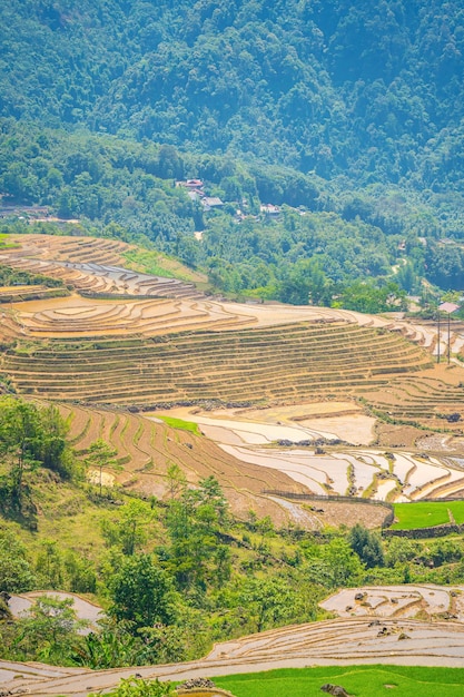 Аэрофотоснимок рисовых террас в провинции Нгай Тау и Ти Лаокай Вьетнам Пейзажная панорама Вьетнама Террасные рисовые поля Нгай Тау Впечатляющие рисовые поля Сшитый панорамный снимок