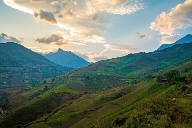 Aerial image of rice terraces in Sang Ma Sao Y Ty Lao Cai province Vietnam Landscape panorama of Vietnam terraced rice fields of Sang Ma Sao Spectacular rice fields Stitched panorama shot