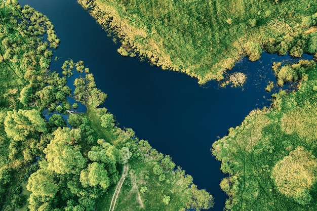 Aerial landscape of blue lake in green field top view of beautiful nature background from drone seasonal summer landscape with copy space