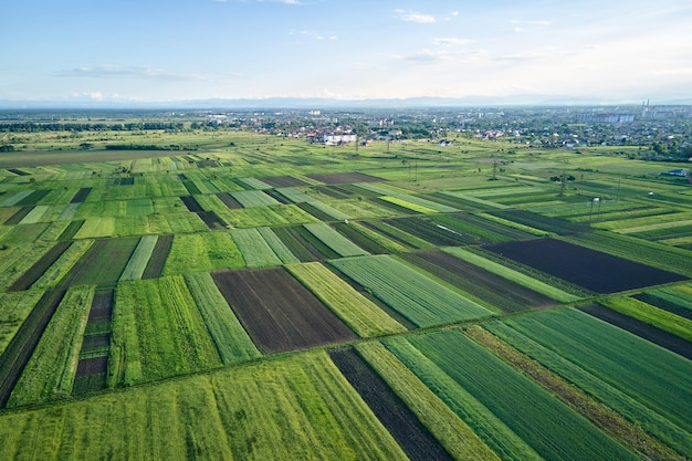 여름 시즌 의 녹색 농지 의 공중 풍경 과 재배 된 작물 농업 재배 된  ⁇  농업 및 농업 산업