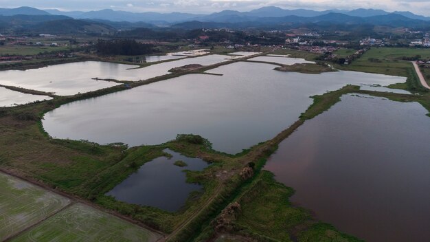 Aerial Landscape Lagoon on agriculture fields