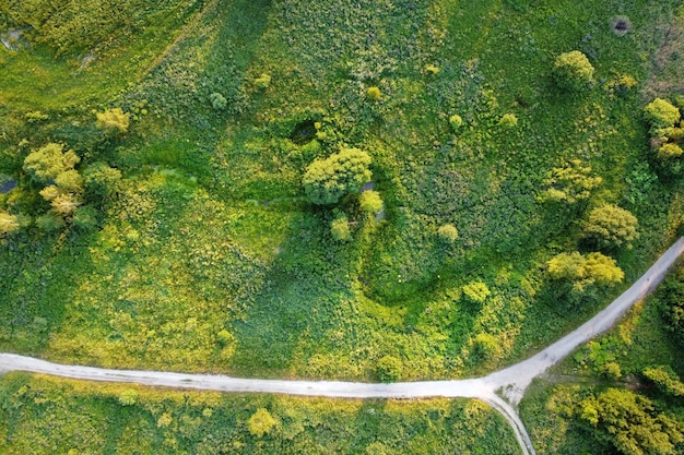 Aerial landscape summer field with trees and rural road