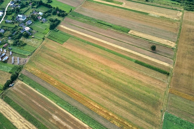Вид с воздуха на зеленые и желтые возделываемые сельскохозяйственные поля с растущими культурами в яркий летний день