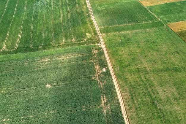 Aerial landscape view of green and yellow cultivated agricultural fields with growing crops on bright summer day