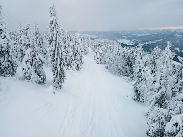 Aerial landscape view of ukraine carpathian mountains winter time