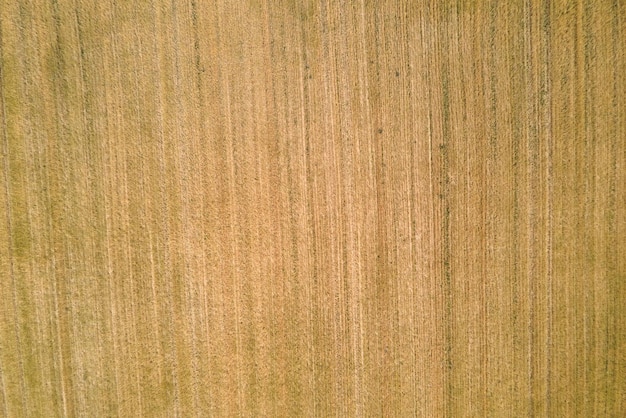 収穫後の刈り取られた小麦の乾いたわらで黄色の耕作された農地の空中風景写真。