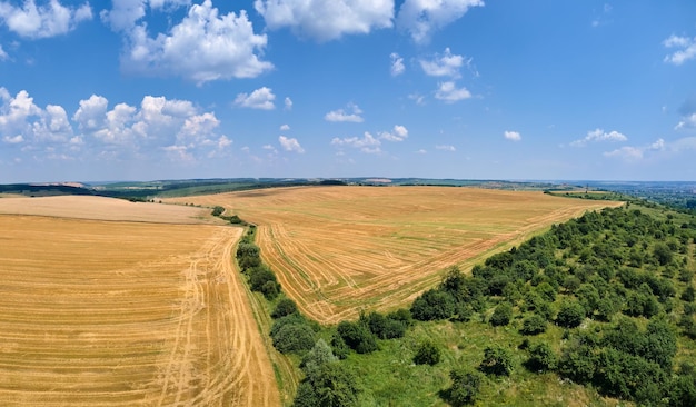 Aerial landscape view of yellow cultivated agricultural field with dry straw of cut down wheat after harvesting