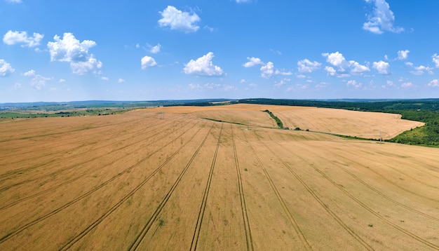 明るい夏の日に熟した小麦と黄色の耕作農地の空中風景写真