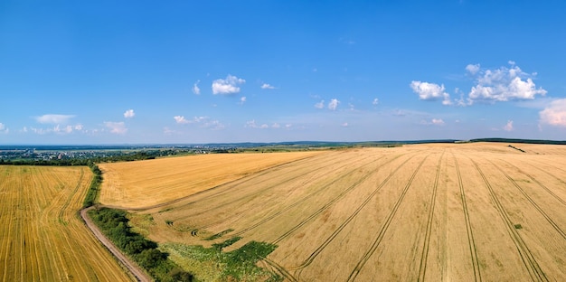 Aerial landscape view of yellow cultivated agricultural field with ripe wheat on bright summer day