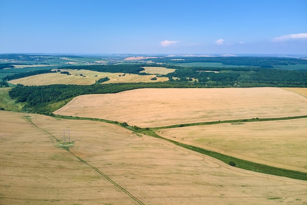 明るい夏の日に熟した小麦と黄色の耕作農地の空中風景写真