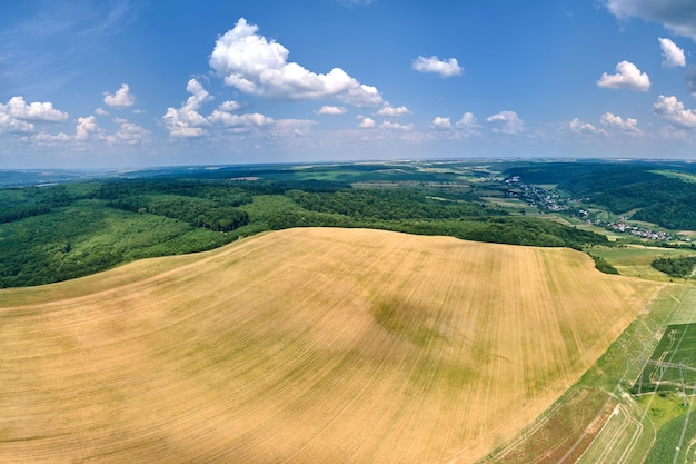 Вид с воздуха на желтые возделываемые сельскохозяйственные поля со спелой пшеницей и зелеными лесами в яркий летний день