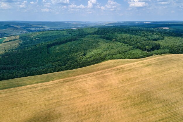 Ландшафтный вид с воздуха на желтые культивируемые сельскохозяйственные поля с зрелой пшеницей и зелеными лесами в яркий летний день