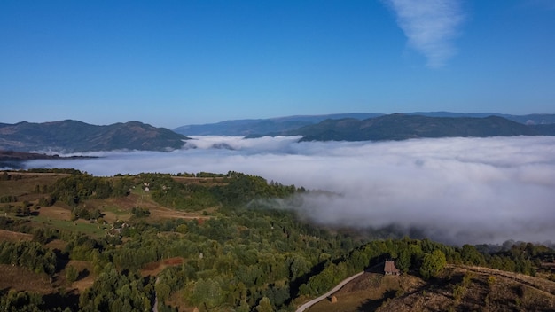 Aerial landscape with clouds covering forest in mountains