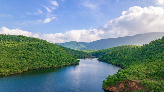 写真 緑の丘、川、森のある空中風景