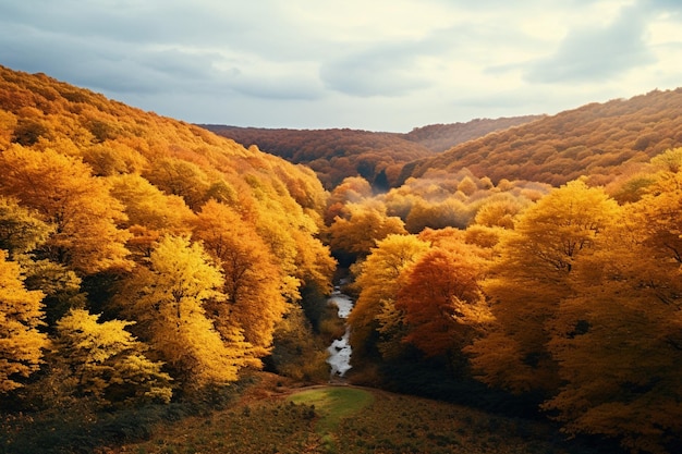 Aerial magic autumn forest in a breathtaking palette