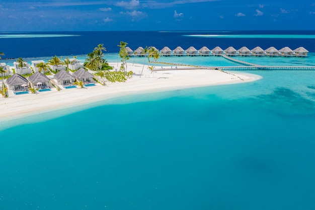 Aerial maldives beach beautiful palm trees luxury bungalows
amazing sea exotic travel vacation