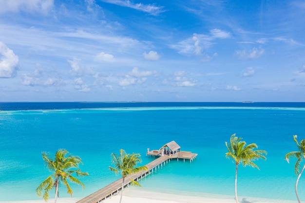 Aerial Maldives beach Beautiful palm trees luxury bungalows amazing sea Exotic travel vacation