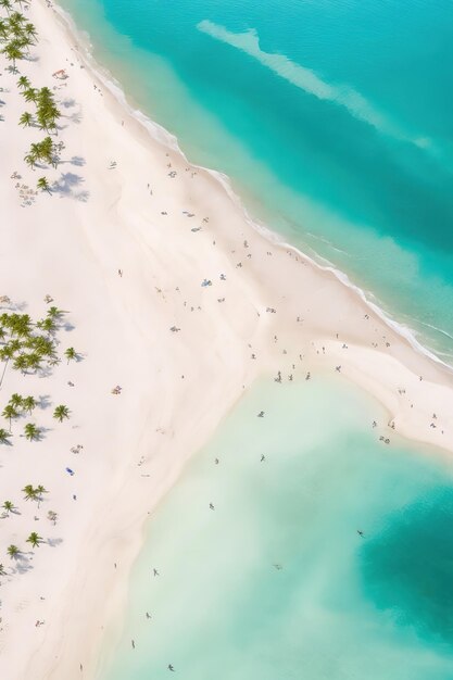 Foto odissea aerea: panorami affascinanti della natura sulla spiaggia