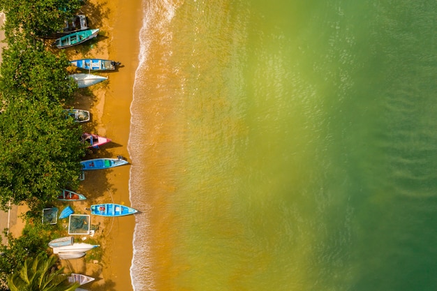 Aerial overhead shot of boats on the seashore with trees