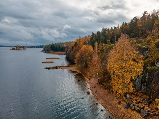 Аэрофотосъемка осеннего пейзажа. Северная природа осенью. Берег озера, деревья с желто-оранжевой листвой, вечнозеленые деревья. Дождливая погода, пасмурное небо. Концепция чистой природы.