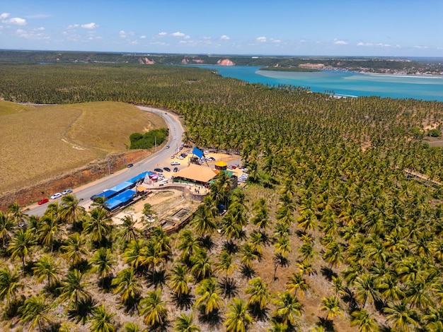 Photo aerial photo of praia do gunga in alagoas northeast of brazil