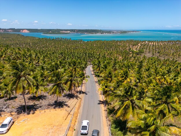 ブラジルのアラゴアス州北東部のプライア・ド・グンガの空中写真